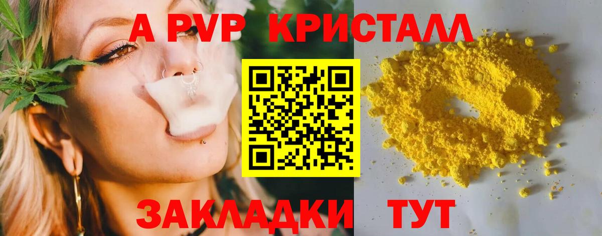 Alfa_PVP СК  Вход с VPN  где найти   Камышин  Alfa_PVP 