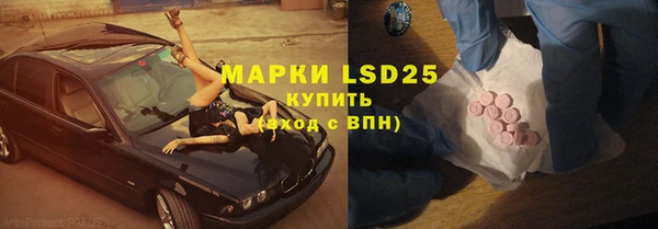 гидра Аркадак