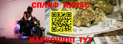 СК Краснознаменск