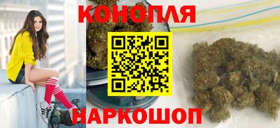 шишки Краснодар