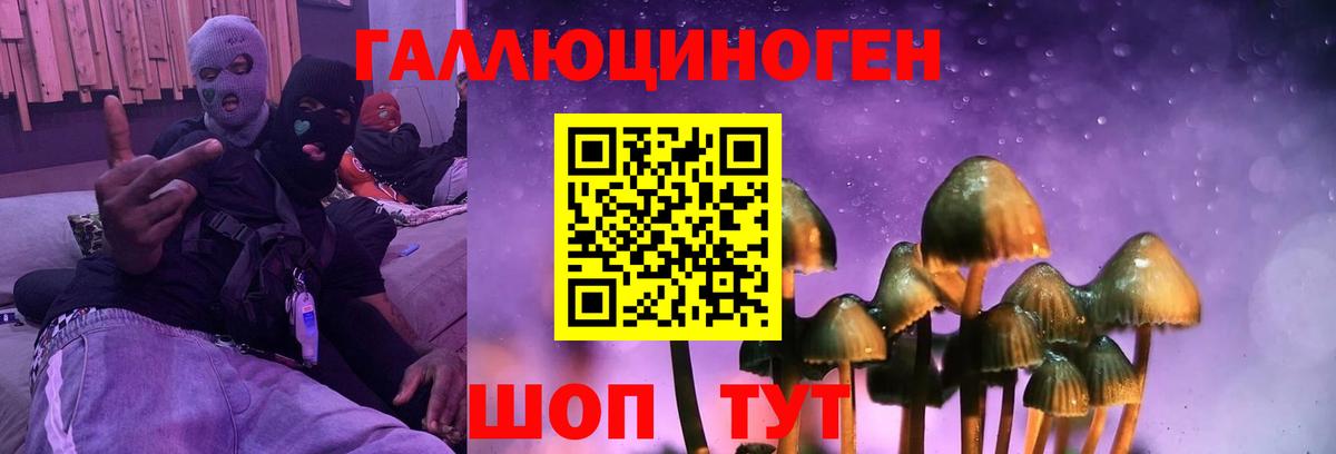 Галлюциногенные грибы Psilocybine cubensis Камышин