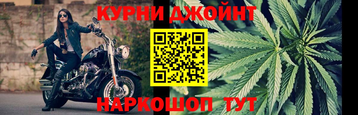 Бошки Шишки конопля  Бошки марихуана OG Kush  Бошки марихуана VHQ  Каннабис план  Камышин  Вход с VPN 